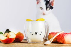 台湾発ブランド「GOODGLAS」が『ペット博2018inなごや』に出展　ドリンクを注ぐと動物の顔が現れる“笑顔になるグラス”登場！