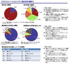 「さばけるチャンネルのアクセス解析結果」