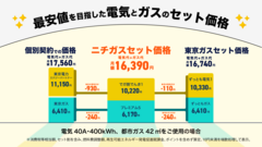 ニチガス、業界最安値を目指す新プラン「でガ割」でご家庭など低圧向け電気小売事業に本格参入！