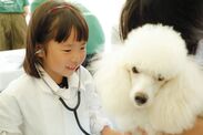 獣医師の仕事を知る・動物とふれあうイベント12月1日開催『2018動物感謝デー in JAPAN “World Veterinary Day”』
