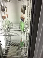 明治大学農学部・小山内崇准教02