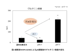 図4  緩衝液MOPS-KOHによるpH調整後のグルタミン酸量の変化