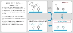 消臭メカニズム