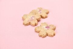 春のお祝いギフト」におすすめ！アニバーサリーがいちご×桜を使った3