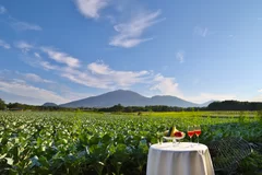 【星のや軽井沢】野菜畑ショートトリップイメージ