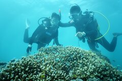 星のや竹富島珊瑚礁が隆起してできた島で海の恵みに癒される「珊瑚美ら（ちゅら）滞在」開催期間：2019年6月1日～8月31日｜星野リゾートのプレスリリース