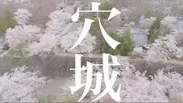 ラップの歌詞が画面に踊るリリック動画風