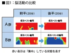 図1：脳の反応の比較