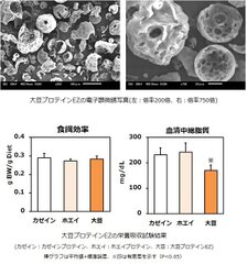 池田糖化、水分散性良好な植物性プロテイン粉末を開発　健康・美容を後押しする『大豆プロテインEZ』を発売