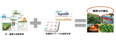 AI活用スマート農業ベンチャーのルートレック　農業経営管理支援のテラスマイル株式会社と事業提携開始　～栽培と農業経営の両側面から生産者をサポート～