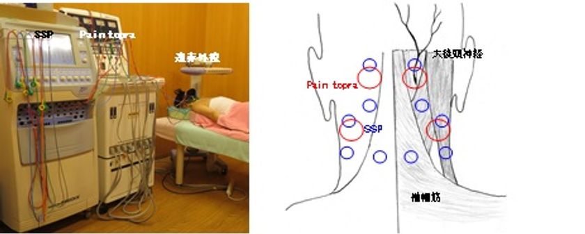 全身の不定愁訴を伴う「むち打ち症」の
病態解明・原因療法確立への突破口