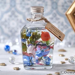 ディズニー Healing Bottle ～Disney collection～「アラジン」