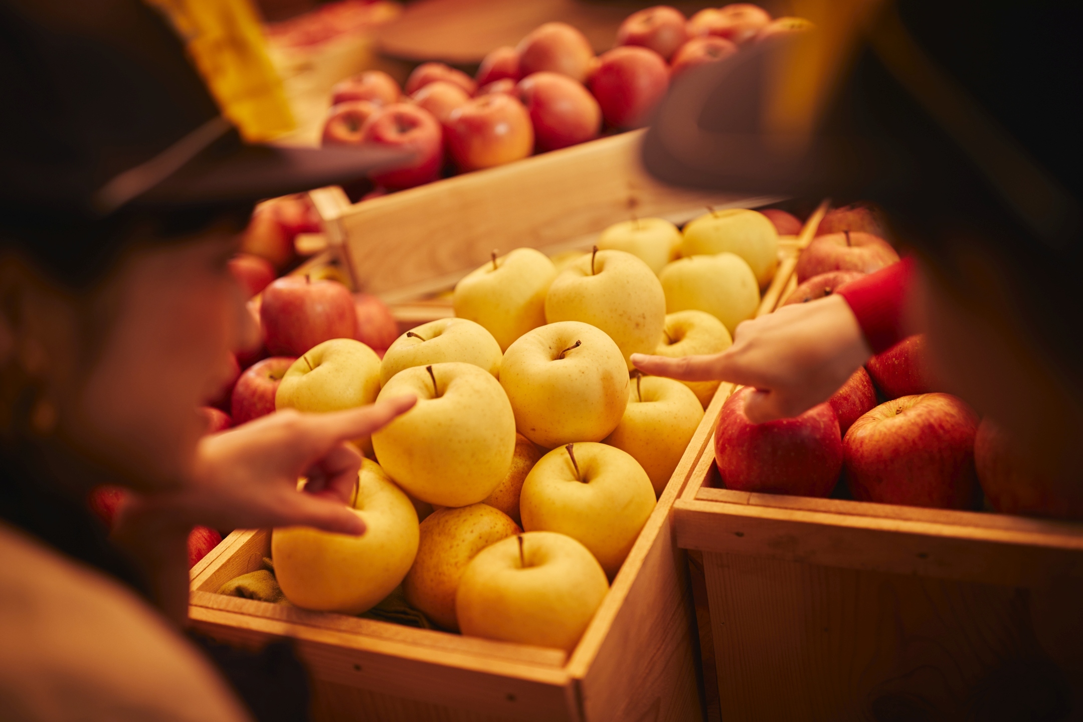 星野リゾート 青森屋収穫期を迎えたりんごを競り落とせる りんごの競り体験 開催開催期間 19年9月1日 11月24日 星野リゾートのプレスリリース