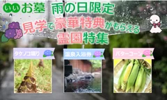 雨の日限定！見学で豪華特典がもらえる霊園特集