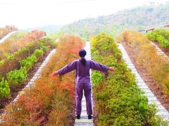 【界 遠州】浜名湖ストレッチ