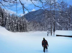 西和賀町：日本でも有数の豪雪地帯