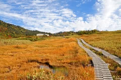 オレンジ色に染まる弥陀ヶ原高原で紅葉散策