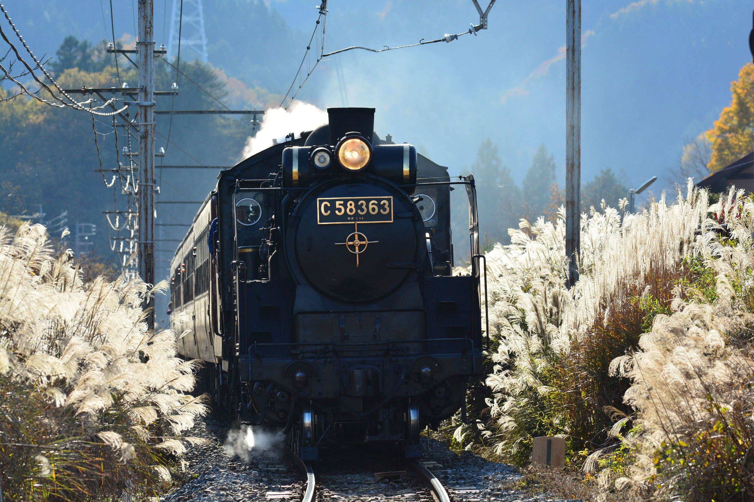 ちちてつサンクスフェスタ19 秩父鉄道創立1周年記念 19年11月2日 土 三峰口駅周辺で開催 秩父鉄道株式会社のプレスリリース