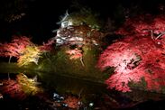 桜約2,600本と楓約1,000本の紅葉をさくらの名所 弘前城で楽しむ！ 『弘前城　菊と紅葉まつり』を10月18日から開催