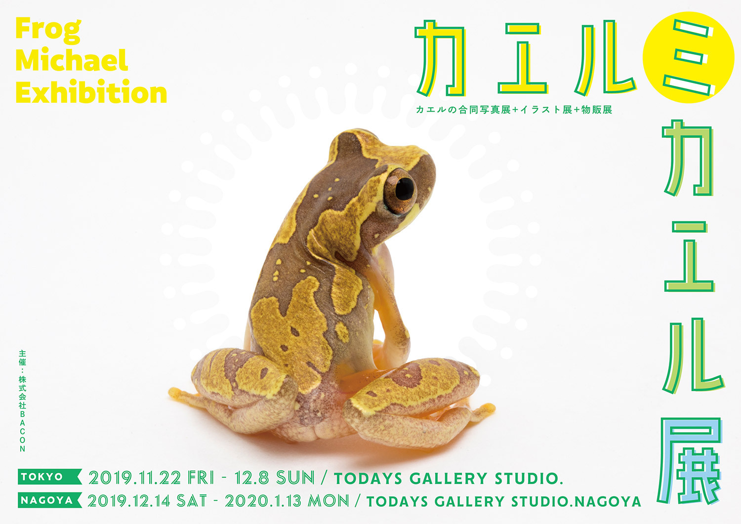 リアルなカエルの美しさに注目した カエルミカエル展 が11 22 12 8に東京で開催 ちょいグロなカエル ブースも登場 株式会社baconのプレスリリース