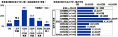 自身の毎月のおこづかい額