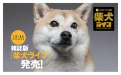 柴犬ライフ 冬号2020