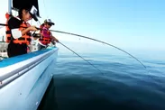 船釣り(2)