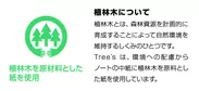 Tree's 植林木