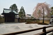 京都の春や桜・寺院を貸し切り！5つの宿泊プランを販売開始　京都ブライトンホテル　寺院の貸切拝観ほか京繍体験など