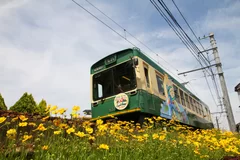 貸切嵐電で行く嵐山宝厳院の青もみじ