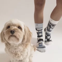 SOLOSOCKS