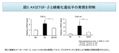 図3：AXはTGF-βと線維化遺伝子の発現を抑制