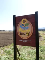 「HORIBA Blueberry Farm “Joy & Fun”」