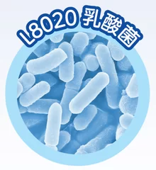 L8020乳酸菌