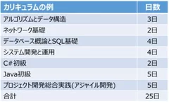 カリキュラムの例