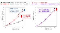 図2. シネコシスティスの増殖曲線