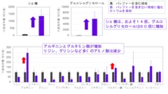 図3. 培地条件変化による糖とアミノ酸の量の変化