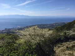 海の向こうに富士山