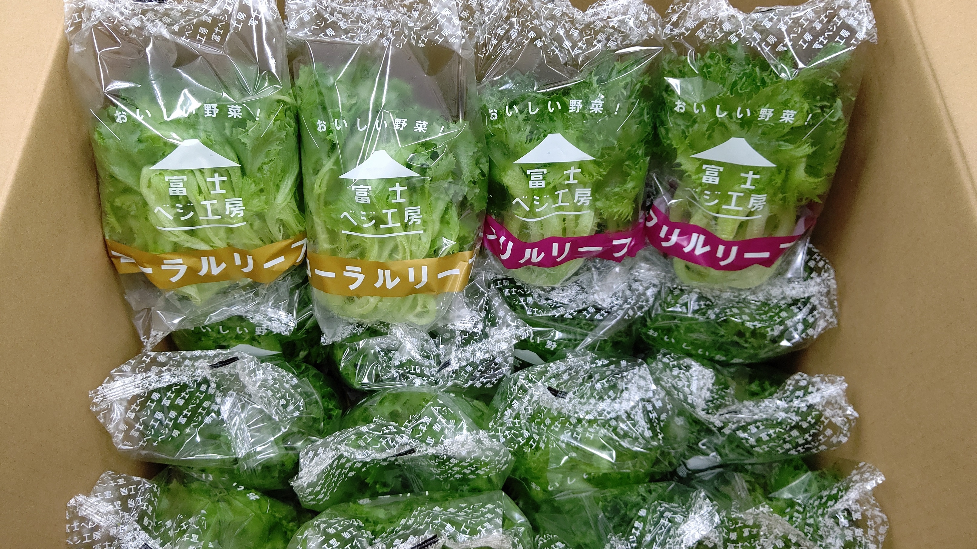小林クリエイト 自社植物工場の野菜を静岡県内の児童養護施設と老人ホームに無償提供 小林クリエイト株式会社のプレスリリース