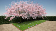 海と桜のメモリアル樹木葬　OPEN　神戸西区伊川谷潤和　妙徳寺にて見学会を開催しております。2020年5月2日(土)、5月10日(日)、5月17日(日)、5月24日(日)、5月31日(日)