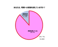 母への感謝に関する意識調査_グラフ1