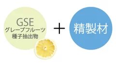 GSE＋精製材