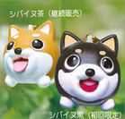 サンスマイル玩具雑貨プロジェクト第一弾商品「たまペロ」イヌ2種、ネコ2種が8月発売決定！