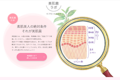 これからの美肌は「菌」がつくる　美肌菌の育て方、増やし方のサイト「美肌菌ラボ～キレイハダ～」が公開