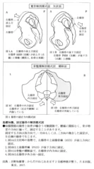 図1