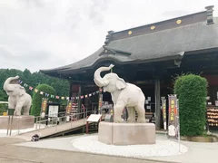 長福寿寺 吉ゾウくん