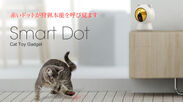 運動不足を解消して肥満のリスクを軽減　猫専用スマートガジェット「Smart Dot」クラウドファンディングMakuakeで先行発売！