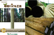木材の地中利用『環境パイル工法』が累計棟数30,000棟を達成