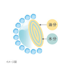 ラメラカプセル