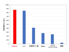 図3. フマル酸を基質としたときの各生物のFumの反応効率